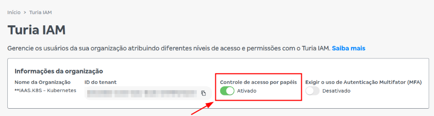 Habilite o Controle de Acesso por Papéis.